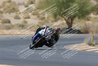 media/May-14-2023-SoCal Trackdays (Sun) [[024eb53b40]]/Turn 5 Tree of Life (1125am)/